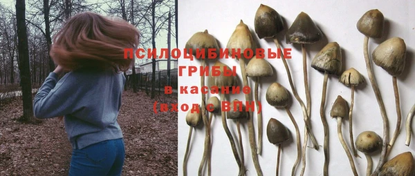 СК Заводоуковск