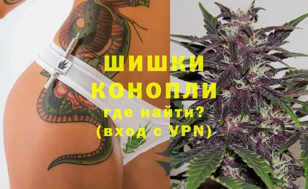 СК Заводоуковск