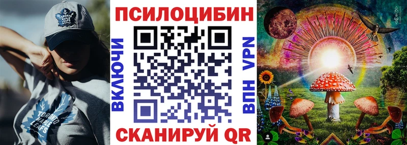 Псилоцибиновые грибы GOLDEN TEACHER  Купить закладки  Партизанск 